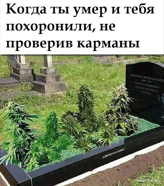 Картинки разные нужны, картинки разные важны