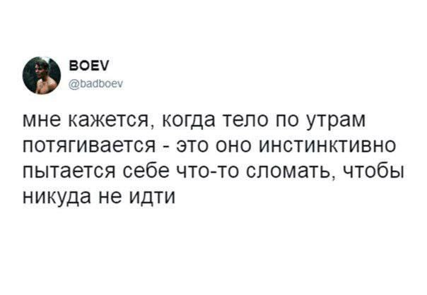 Никакие картинки