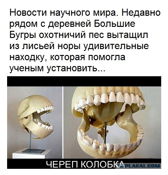 Что внутри у Колобка?