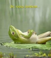 Зелёная тема