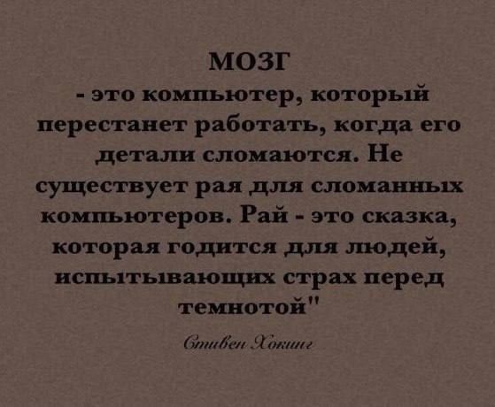 Так себе картинки 12.11.24