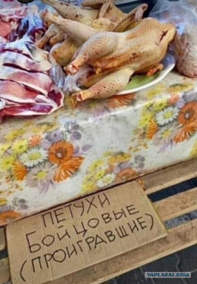 Иллюстрации