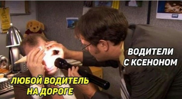 Веселое настроение в картинках (19.11.2025)