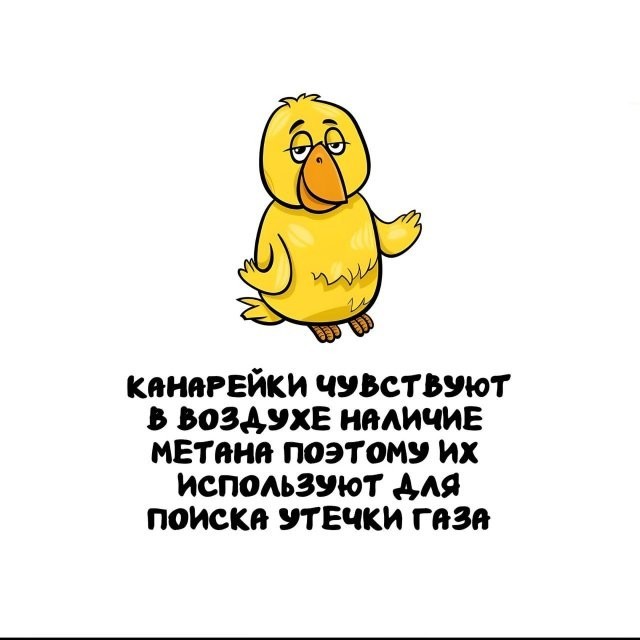 Интересные и короткие факты на все случаи жизни 05.01.26