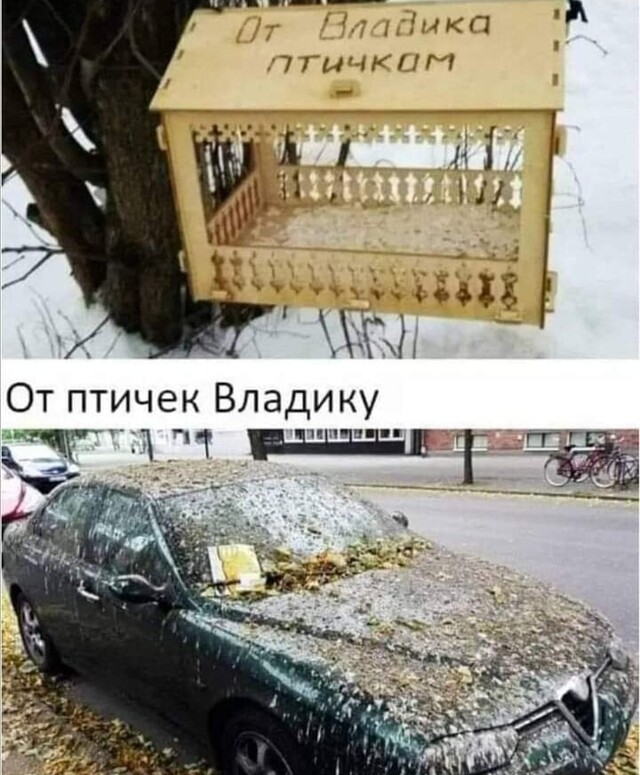Так себе картинки 17.01.26