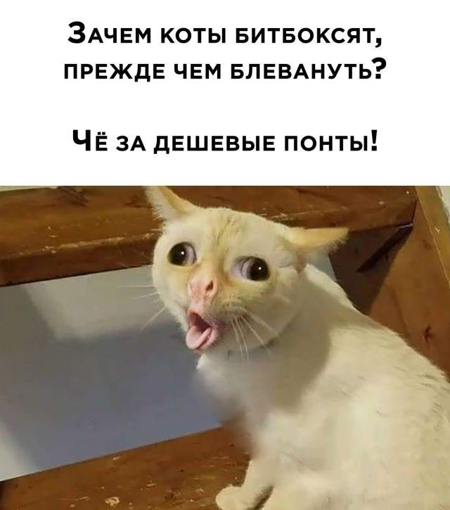 Ударим по баянам ?‍↔️
