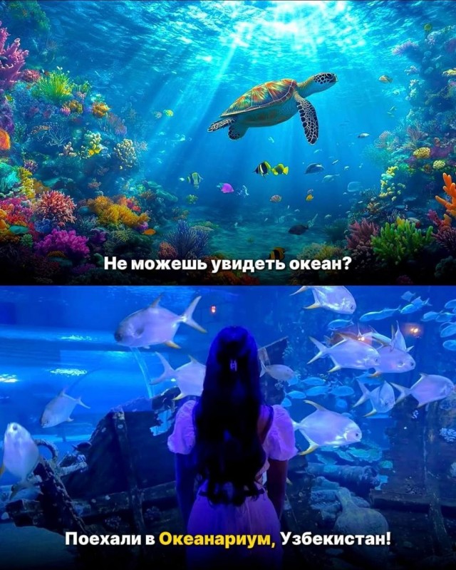 Узбекистан может заменить любую страну во время отпуска