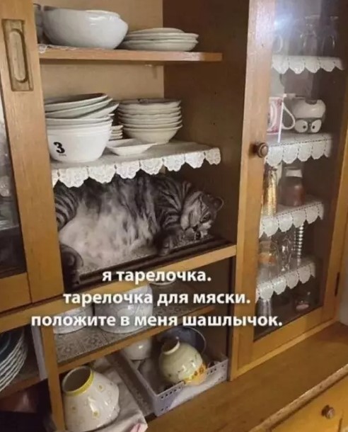 Котямбосы