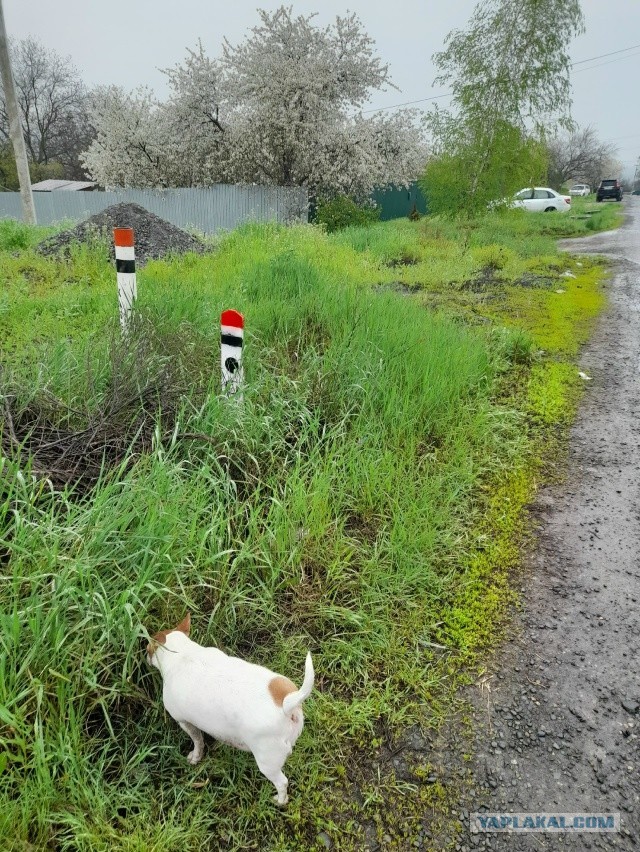 Не дать растаять Снегурчке. Нужна помощь всесильного Япа.
