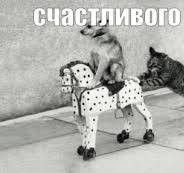 Я устала.