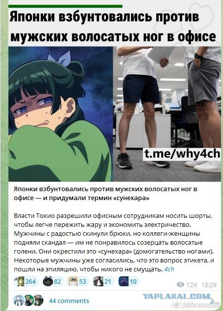 Японки взбунтовались против мужских волосатых ног в офисе