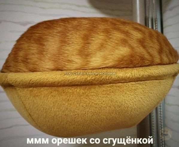 Просто для хорошего вечера
