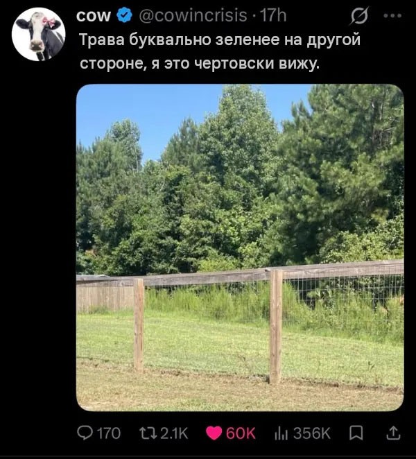 Солянка без копчёностей