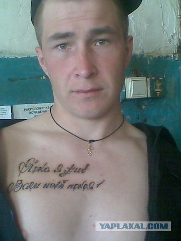 Перлы из сетей