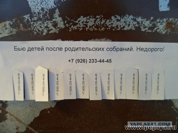 Картинки на Воскресенье, ассорти.