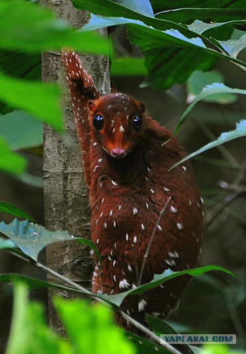 Я хочу замуж
