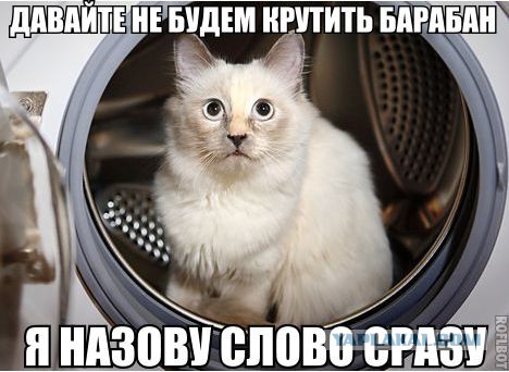 Смешные картинки и комментарии