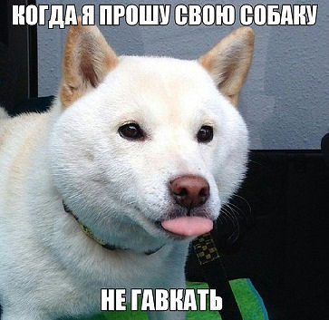 Комментарии из сети