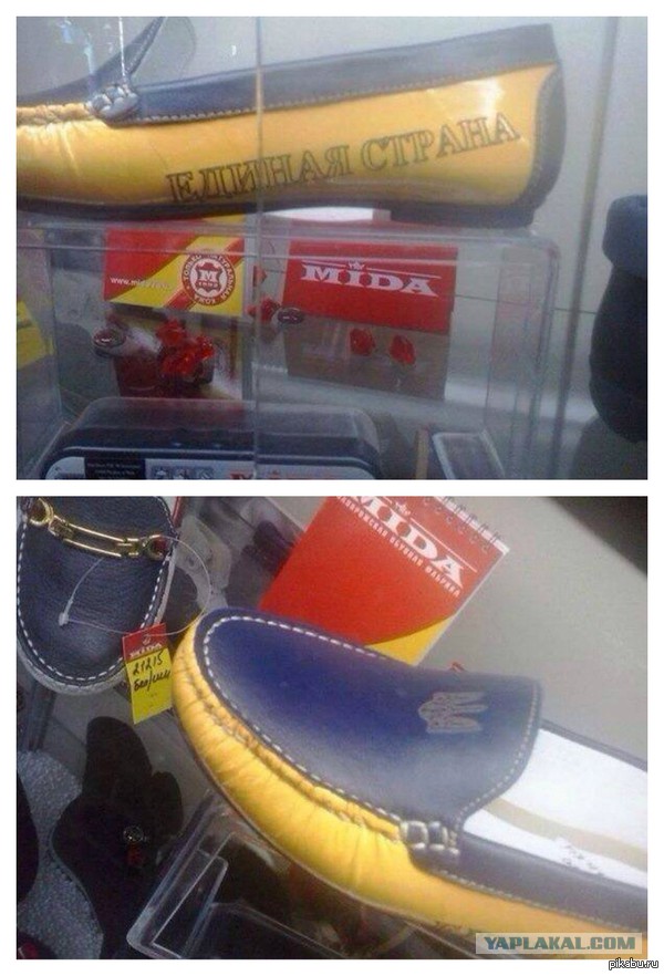 Майдан головного мозга