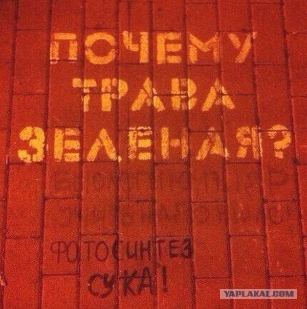 Весёлое из сети