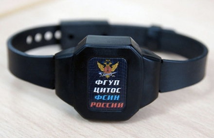Мой фитнес трекер