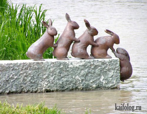 Картинки из сети