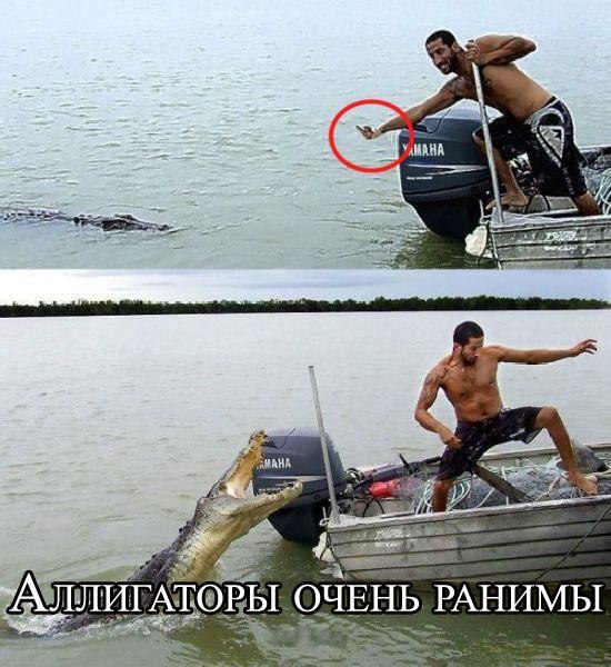 Подборка веселостей из сети
