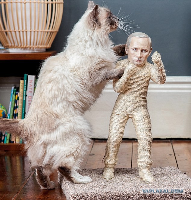 Владимир Путин с котом