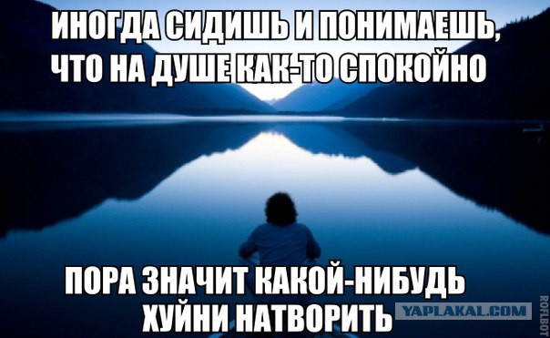 Картинки и приколы из соцсетей