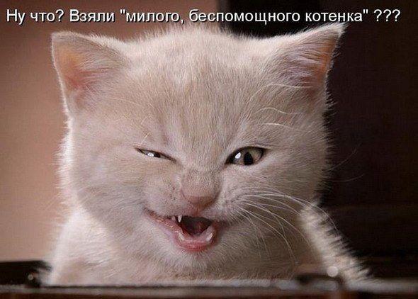 Подборка картинок