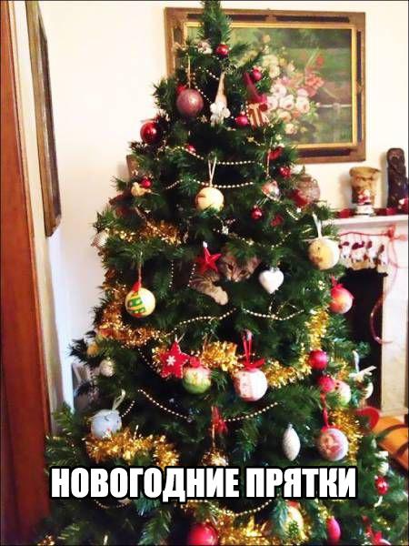 Разные картинки