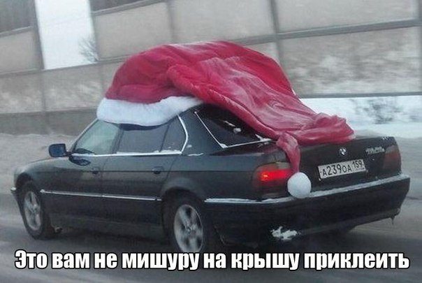Картинки на утро вторника