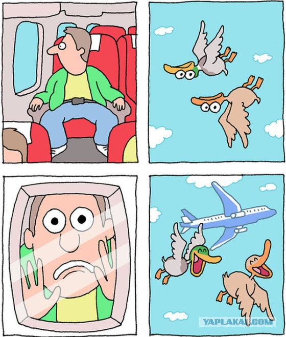 Картинки