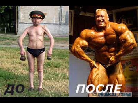 Гормон роста до и после. Качки до и после стероидов.