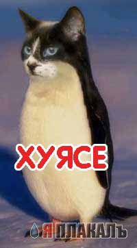 Уже да :) Ужо пятнецца...