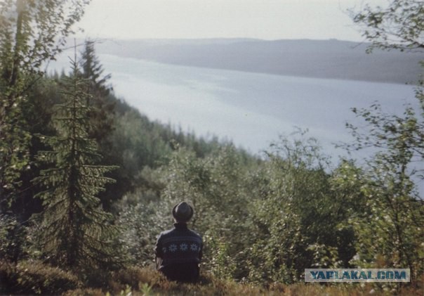 Подборка картинок 29.03.16