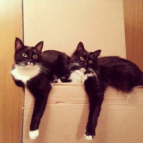 Картинки разные