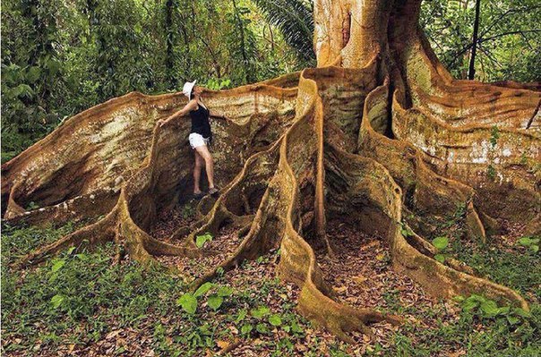 Интересные и веселые картинки