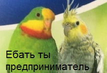 После посещения зоомагазина у меня начал созревать бизнес-план
