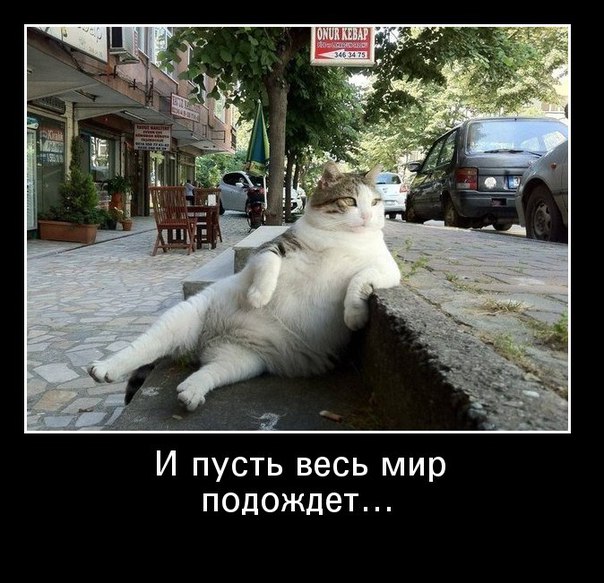 Ассорти картинок из сети