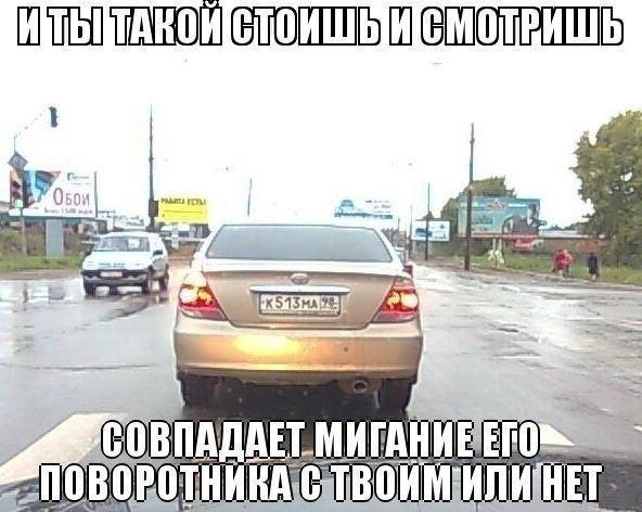 Порция картинок из сети.