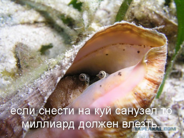 Так жить нельзя: 8 кв. метров
