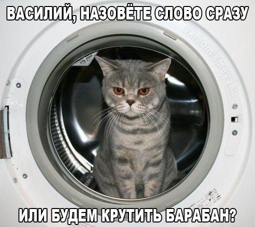 Подборка интересных и веселых картинок