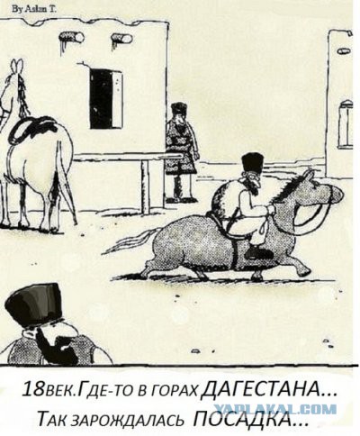 Забавные картинки вразнобой