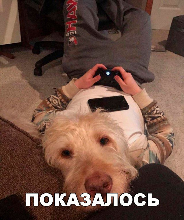 Подборка безудержного веселья