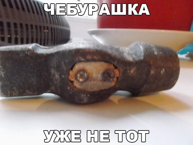 Картинки всякие для поднятия настроения!