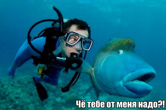 Подборка интересных и веселых картинок