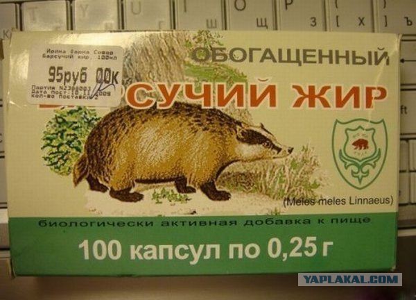 Жир подвезли: женские комментарии