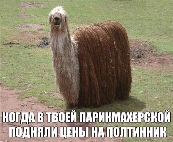 Немного картинок в этот четверг