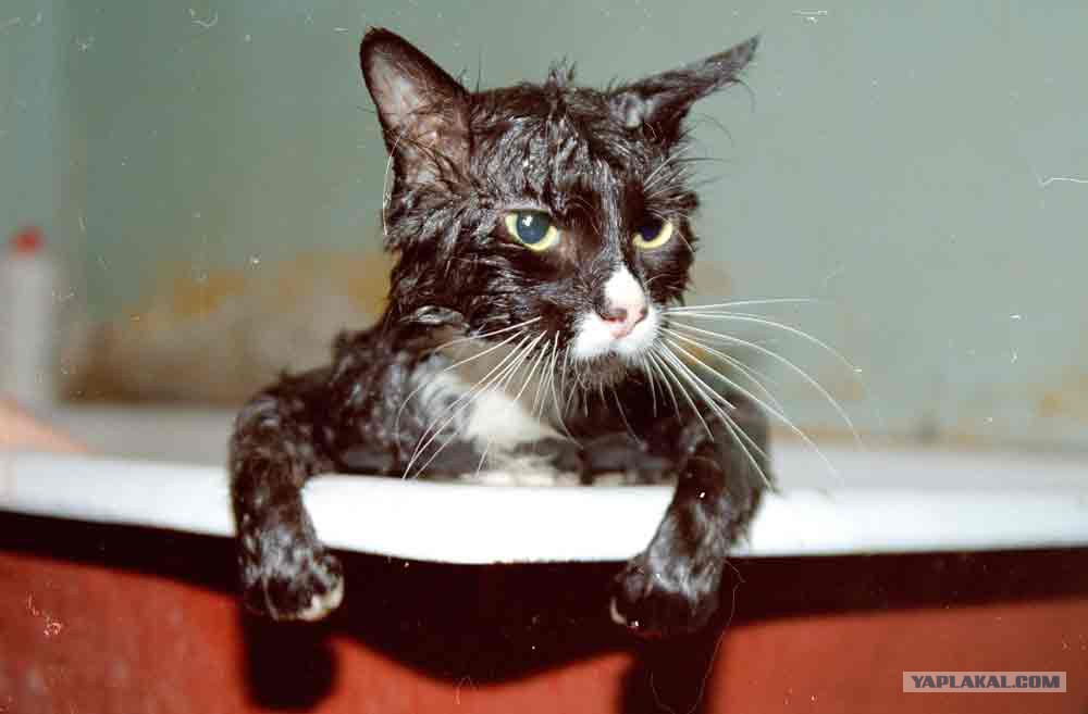 ������� ����� ������ � pic 10